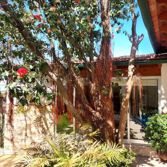 Villa Casat5, Ferias, Piscina Privativa. Agueda, Aveiro Extérieur photo