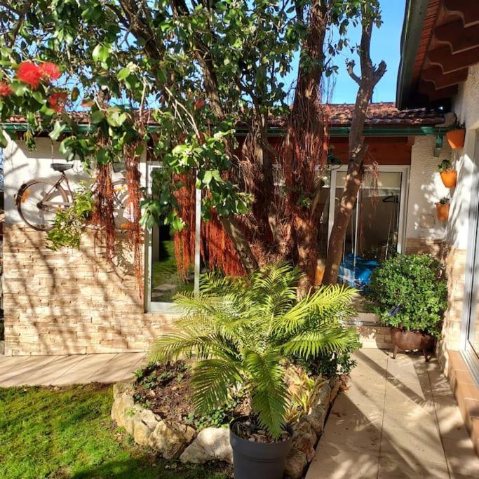 Villa Casat5, Ferias, Piscina Privativa. Agueda, Aveiro Extérieur photo