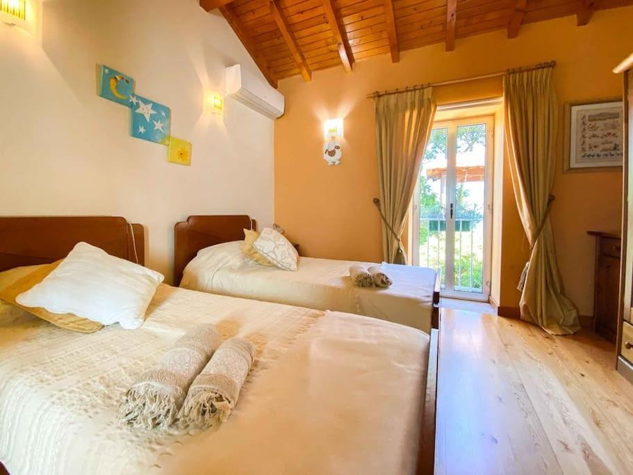 Villa Casat5, Ferias, Piscina Privativa. Agueda, Aveiro Extérieur photo