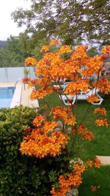 Villa Casat5, Ferias, Piscina Privativa. Agueda, Aveiro Extérieur photo